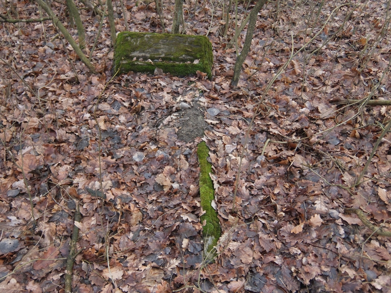Cmentarz ewangelicki w Syskach