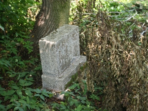 Cmentarz ewangelicki w Truszczanku.