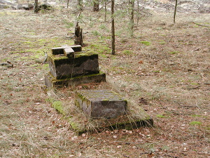 Cmentarz ewangelicki w Trząsie.