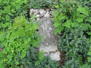 Cmentarz ewangelicki w Uniejowie.