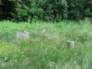 Cmentarz ewangelicki w Uniejowie.