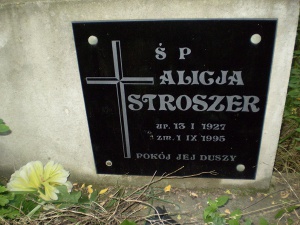 Cmentarz ewangelicki w Wilczycy.
