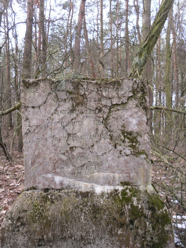 Cmentarz ewangelicki w Woli Mikorskiej