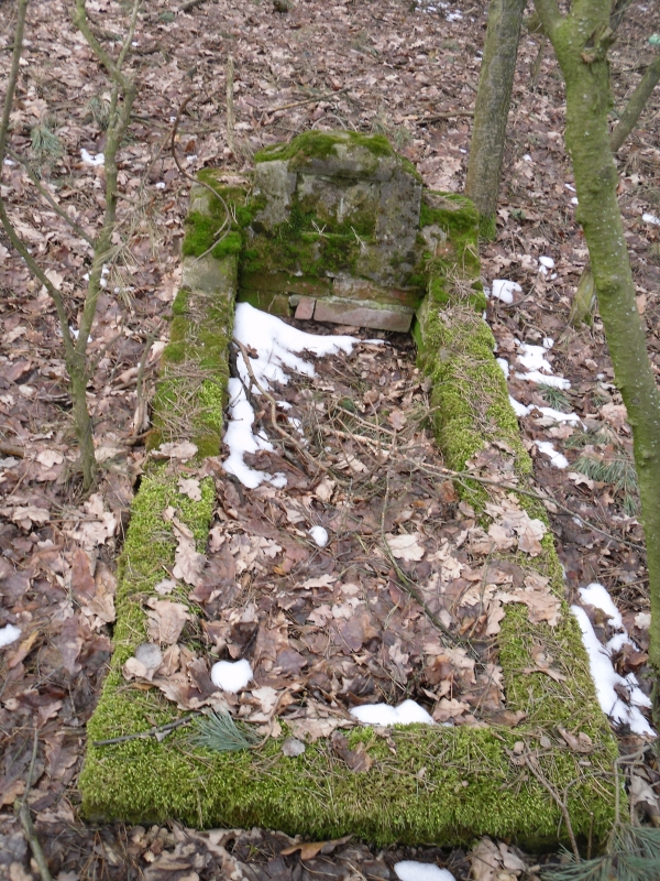 Cmentarz ewangelicki w Woli Mikorskiej