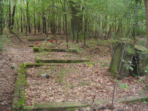 Cmentarz ewangelicki w Wymysłowie Francuskim - Piaskach.