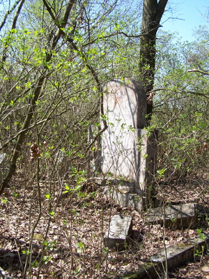 Cmentarz ewangelicki w Wysieradzu.