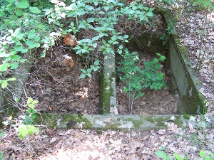 Cmentarz ewangelicki w Wytrzyszczkach.