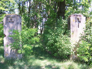 Cmentarz ewangelicki w Wytrzyszczkach.
