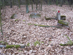 Cmentarz ewangelicki w Zabłotach.