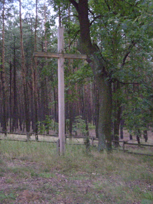 Cmentarz ewangelicki w Zborowskich.