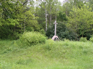 Cmentarz ewangelicki w Zielonej Górze.