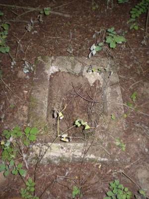 Cmentarz ewangelicki w Zimnych.
