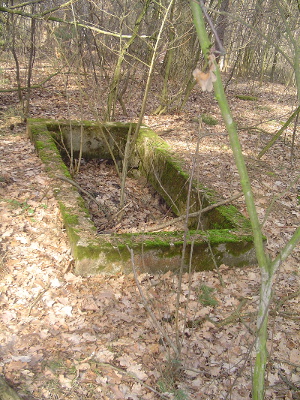 Cmentarz ewangelicki w Zofiówce.