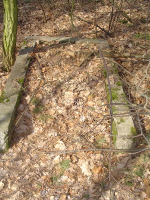 Cmentarz ewangelicki w Zofiówce.